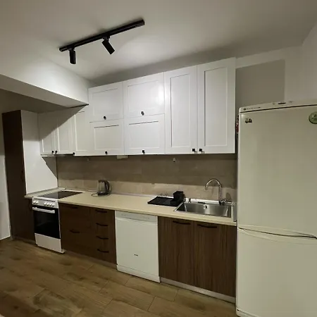 Cozy Near Center Apartment